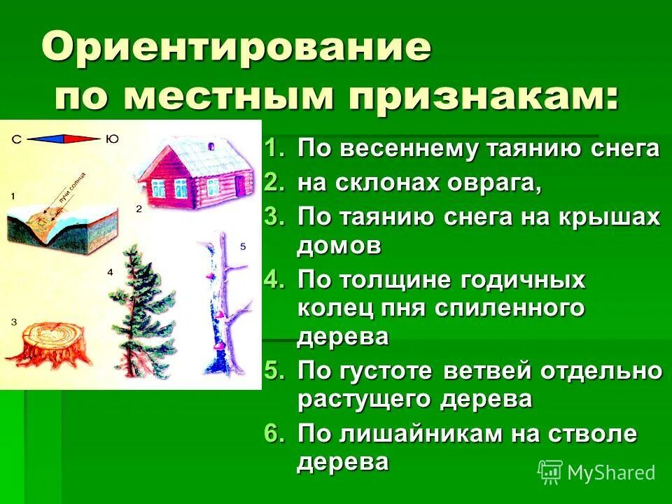 Ориентирование по местным признакам. Природные признаки ориентирования на местности. Вркнтирование по местном признакам. Ориентирование по местным природным признакам. Ориентированы и т д