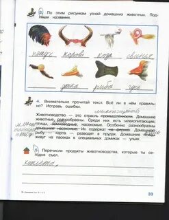 Определи животных подпишите названия животных