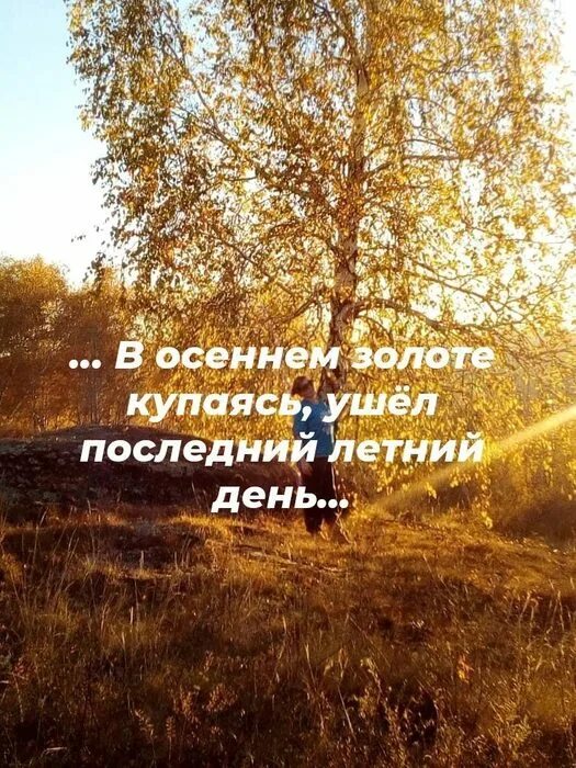 Утром я ушел. Последний день лета. Последние дни уходящего лета стихи. Последний день лета стихи. Уходит лето стихи.