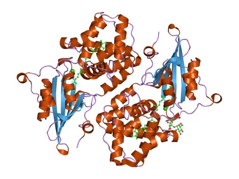 Белки пигменты. Каротиноиды протеины. Пигменты это белки. Белок Orange carotenoid Protein. Домен Альфа спирали.