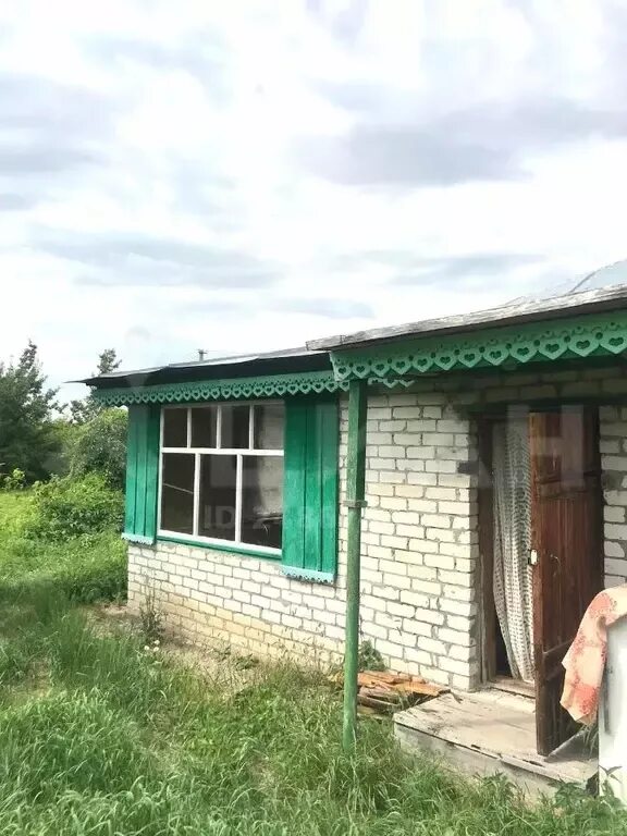 Село жигули фото улиц. Васильевка тольятти. Квартиры село васильевка. Квартиры село васильевка. Снт зеленая даль 1 тольятти.