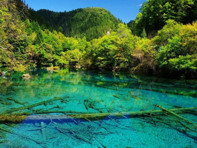 Lake colour. Долина Цзючжайгоу Китай. Деревни в долине Цзючжайгоу. 4. Долина Цзючжайгоу. Озеро пяти цветов.