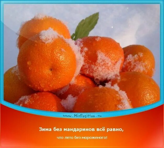 Хочу мандарин. Зима мандарины. Новый год пахнет мандаринами. Перемороженные мандарины. Мандарины зимой.