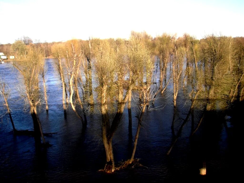 Апрель природа весной. Весеннее половодье. Половодье месяц. Весенний ледоход. Половодье месяц.
