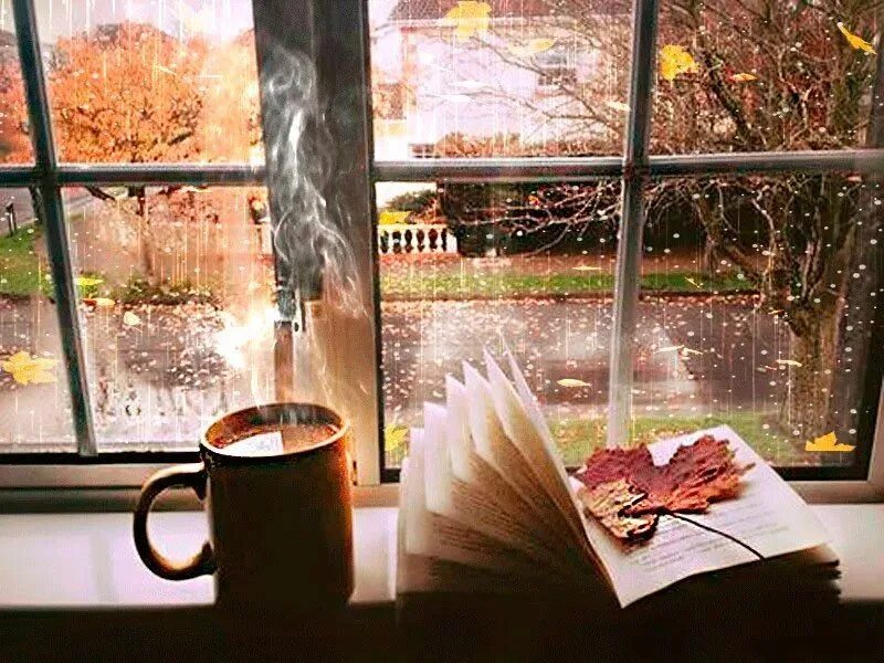 Окно осень. Осенний подоконник. Осень окно кофе. Кофе у окна.