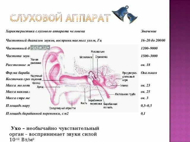 Ухо человека способно улавливать звук с частотой. Диапазон частот воспринимаемый человеческим ухом. Частотный диапазон уха человека. Частотный диапазон звуков воспринимаемых ухом человека. Характеристики слуха человека.