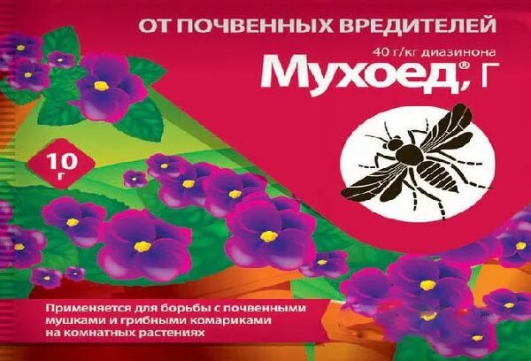Мушки в комнатных цветах. Средство от почвенных вредителей. Чем потравить мошек в цветах. Личинка мошки в горшке. Мош и в цветочных горшках.