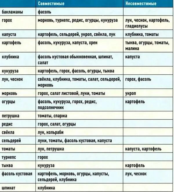 Соседство 18. Таблица совместимости на грядке овощных культур. Соседство растений на огороде таблица овощей грядках совместимости. Совместимость овощных культур при посадке таблица. Совместимость овощей на грядке при посадке в открытый грунт таблица.