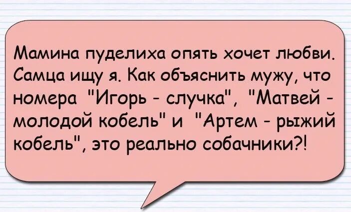 Как объяснить мужу что будет. Крутые анекдоты. Анекдоты самые смешные. Анекдоты самые смешные короткие. Анекдоты самые смешные до слез.