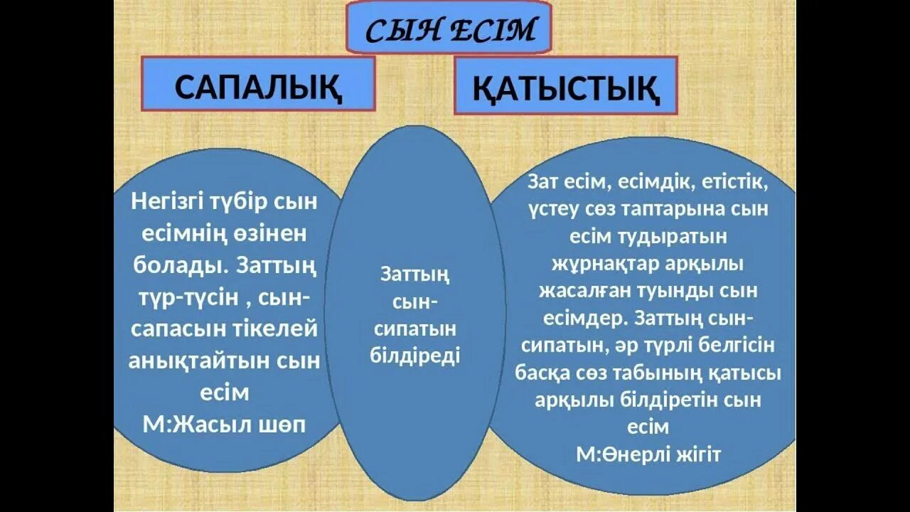 Зат есім дегеніміз не. Лексика дегеніміз не. Зат есім. Сын есім дегеніміз не. Зат есім.