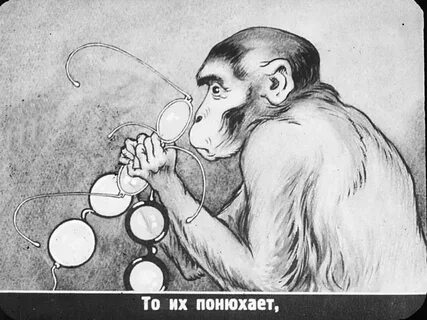 Обезьяна и очки