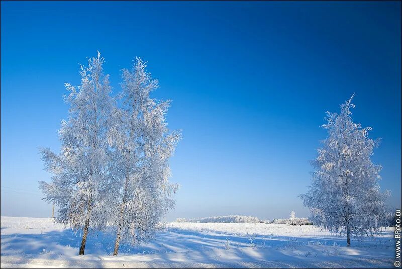 солнечный зимний день. солнечный зимний день в лесу. ясный морозный день. крещенские морозы картинки. солнечный день зимой.