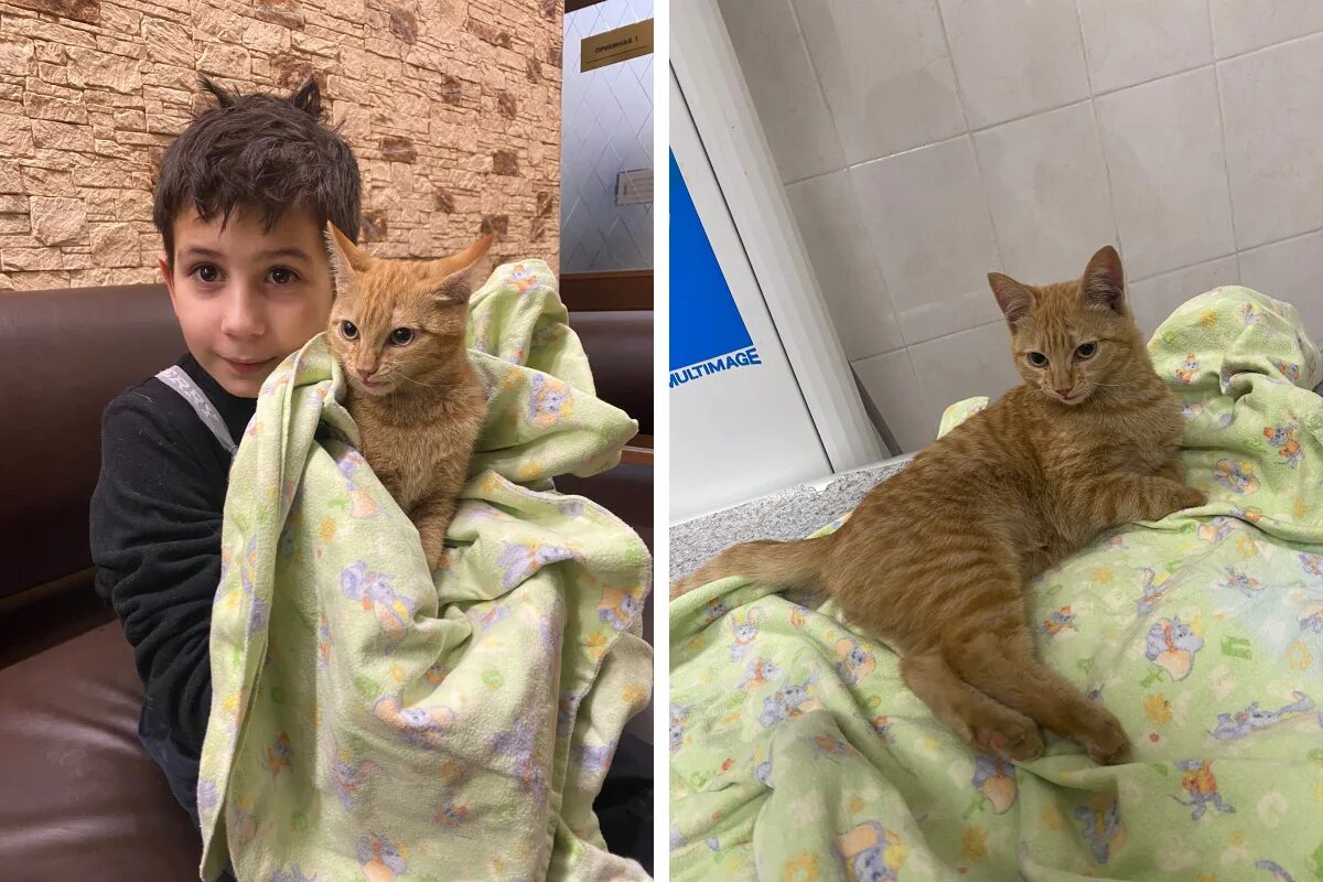 интерес котенок. мальчик потратил. Boys talking. Boy using laptop. мальчик потратил.