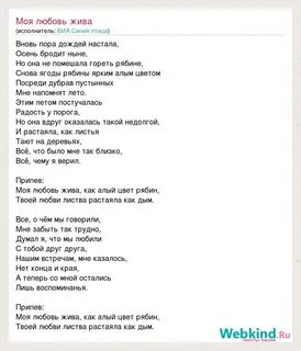 Синяя птица моя любовь текст