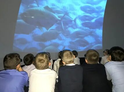 Виртуальная экскурсия планетарий