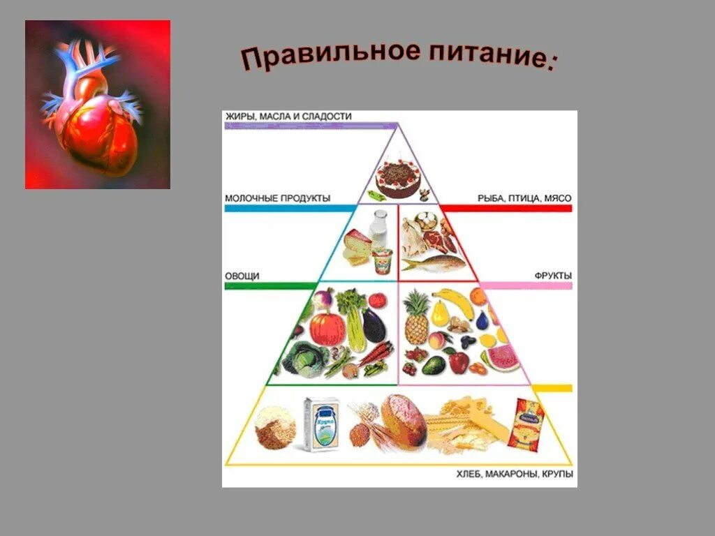 Болезнь правильного питания. Питание при профилактике сердечно сосудистых заболеваний. Питание при стенокардии и ишемической болезни сердца и сосудов. Схемы по темам диета при сердечно-сосудистых заболеваниях. Питание при ССЗ.