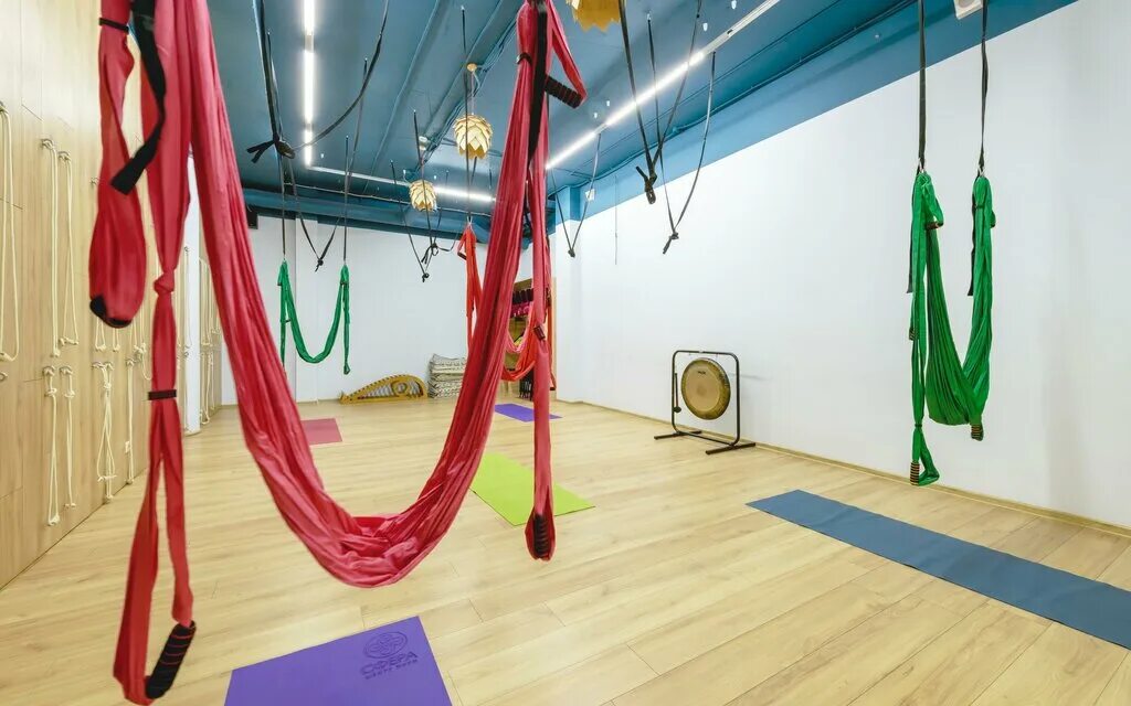 центр йоги сфера на горьковской. йога-центр сфера в спб. сфера йога кафе на горьковской. спб александровский парк 4. центр сфера санкт петербург.