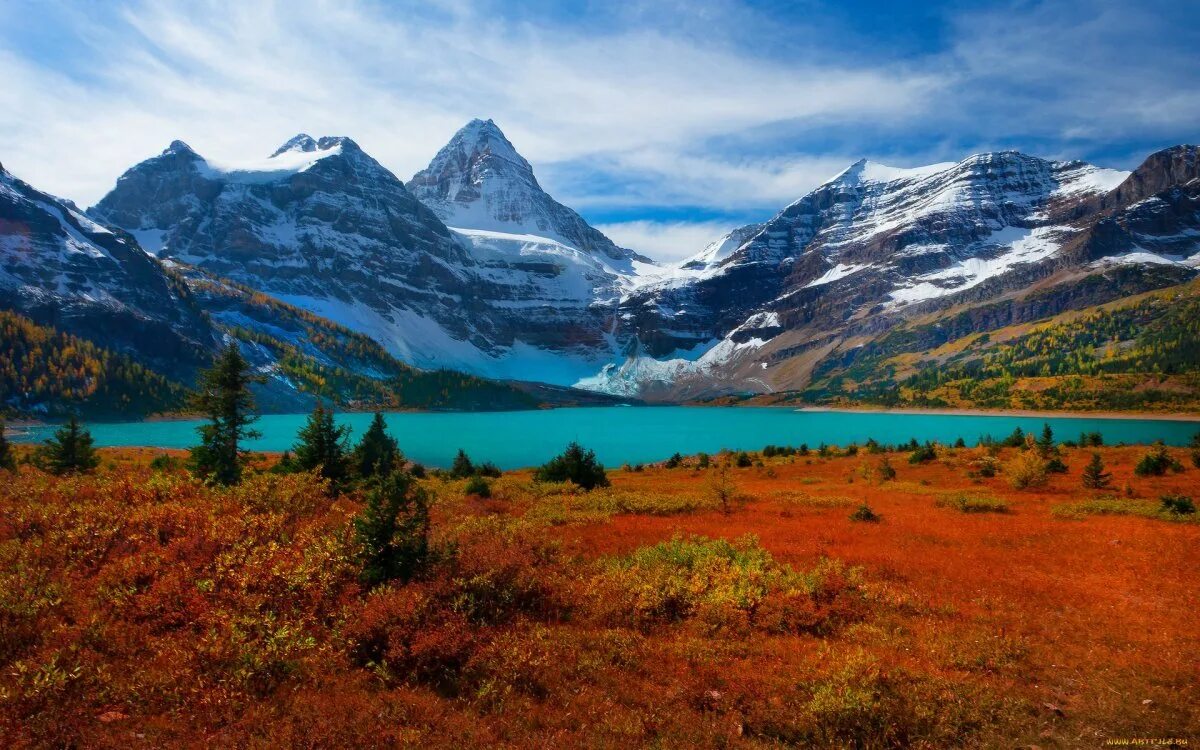 Ассинибойн Канада. Природа. Природа горы. Пейзаж горы. Растительность канады