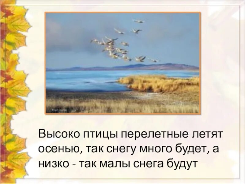 Птицы улетают осенью песня. Стих летят перелетные птицы. Вот и осень и улетают птицы. Летят перелётные птицы текст. Осень стихотворение перелетные.