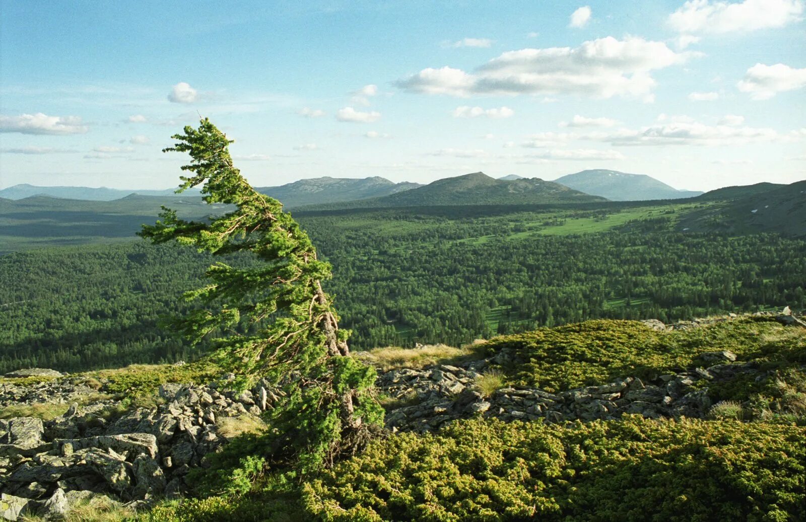 Южно уральский государственный заповедник. Южноуральский заповедник в башкирии. Южно уральский природный заповедник. Ильменский заповедник южный урал. Южноуральский государственный заповедник.