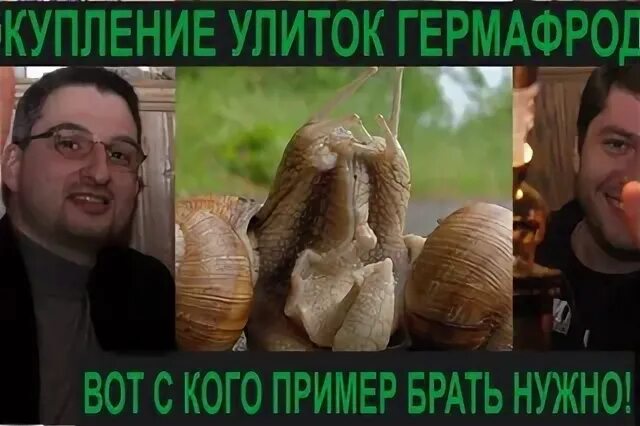 Глупую ю. Глупую ю