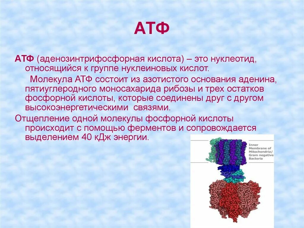 Атф это. АТФ. Молекула АТФ. АТФ это в биологии. Нуклеиновые кислоты АТФ.