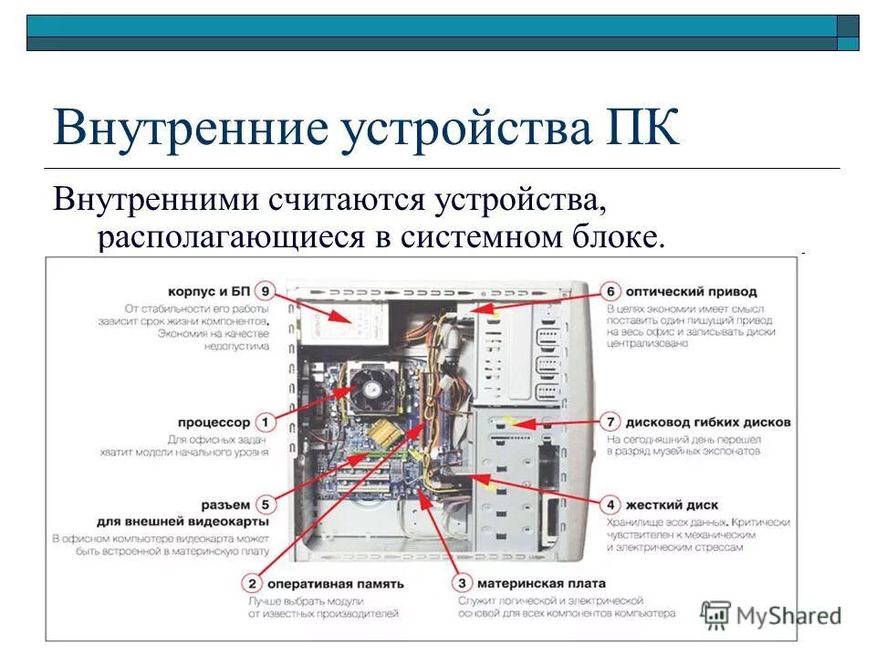 Внутреннее устройство организации