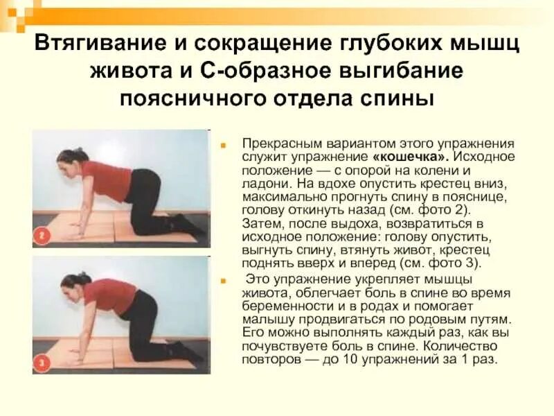 Чем грозит опущение. Комплекс упражнений для укрепления тазового дна. Занятия для укрепления мышц тазового дна. Гимнастика для укрепления мышц таза. Упражнения кегеля для женщин.