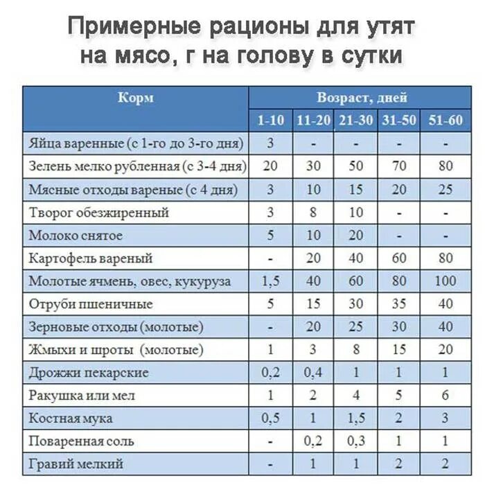 Детям можно давать уткам
