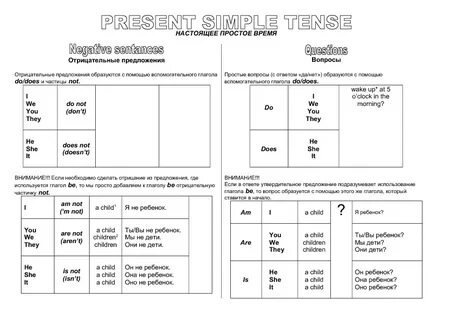 Present simple negative examples