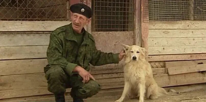 Кинолог с собакой. Списанные служебные собаки. Немецкая овчарка в хорошие руки. Списанные служебные собаки. Списанные служебные собаки.