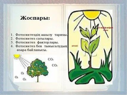 Орыс қызды достары жатақханада азғырған.