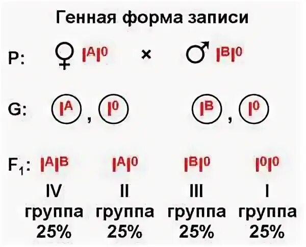 Задача на группу крови родителей. Определение группы крови ребенка по группе крови родителей. Генетическая схема наследования групп крови. Таблица группы крови генетические задачи. Группы крови задачи по генетике.