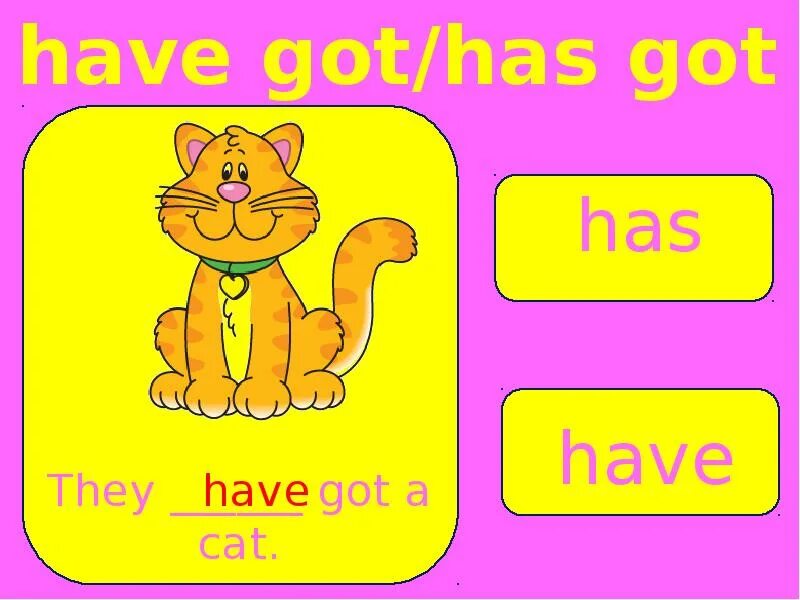 Have got has got. Have got has got для детей. I have got правило для детей. Have got has got for Kids правило. Got a pet перевод на русский