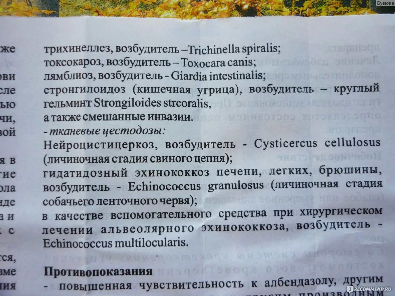 Как правильно принимать немозол. Немозол. Немозол инструкция для взрослых. Таблетки для взрослых от паразитов немозол. Немозол таблетки инструкция по применению взрослым.