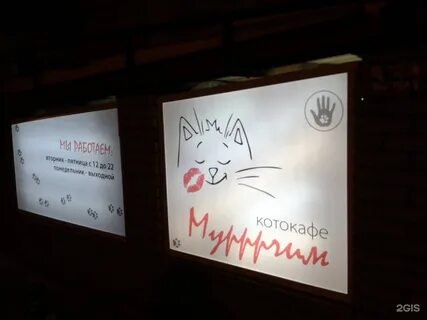 Котокафе нижний новгород
