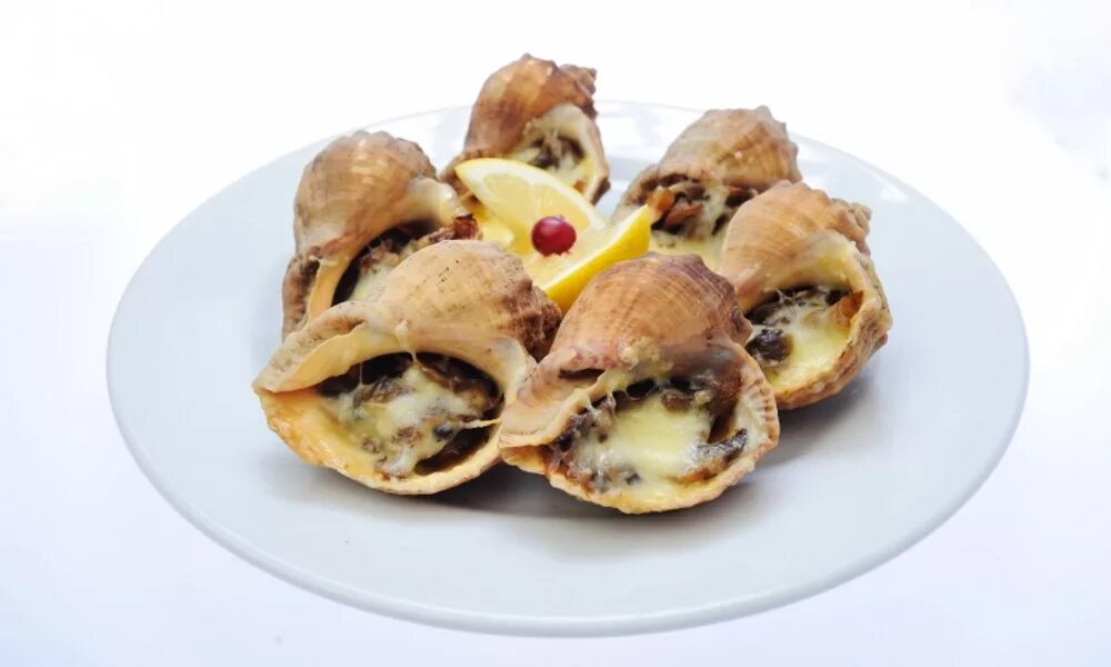 рапан дальневосточный. рапан черноморский блюдо. рапан черноморский еда. рапан готовый. мякоть рапана.