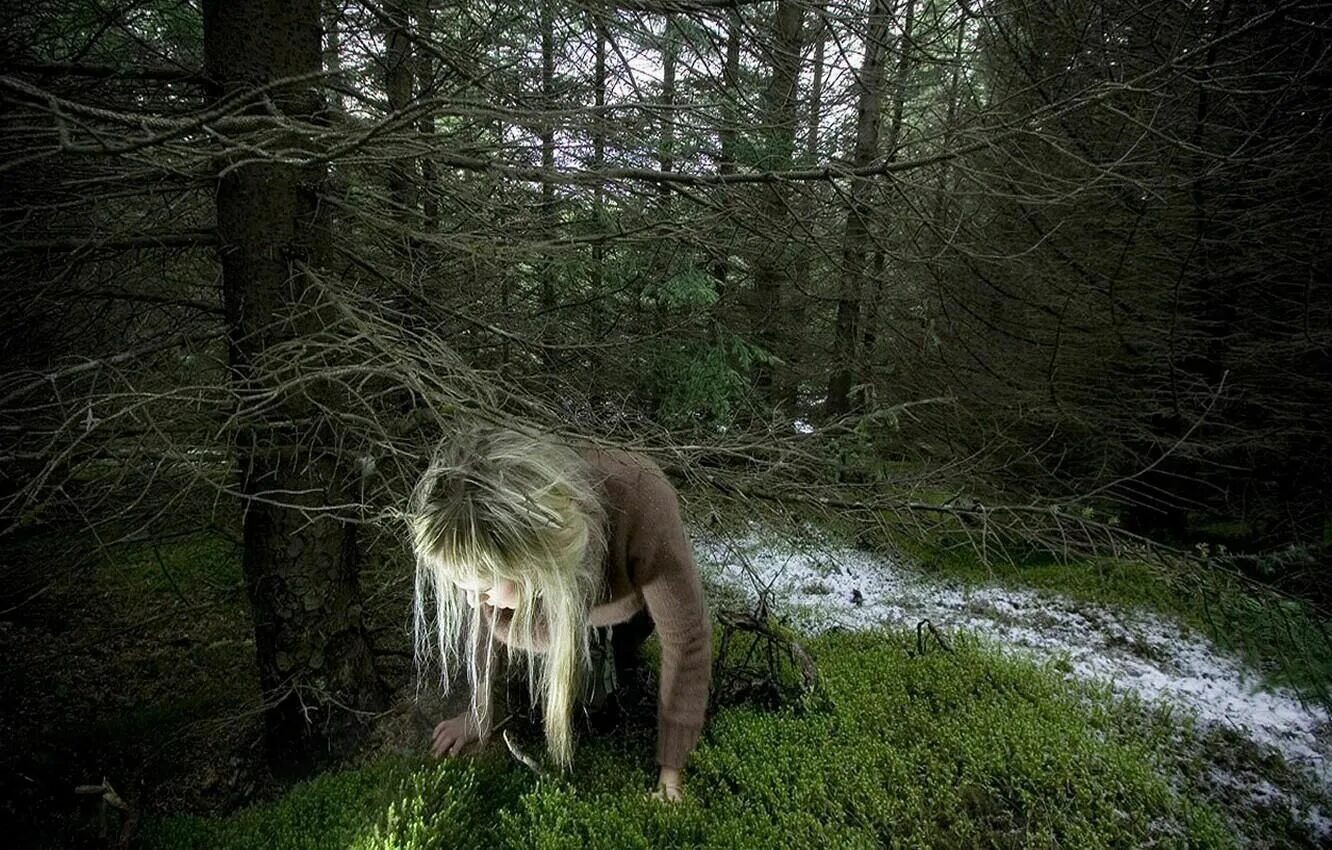 Люди будут жить в лесу. Фотосессия в лесу. Живём в лесу. Блуждаю в лесу.