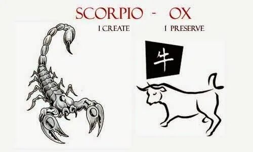 Гороскопы скорпион собака. Скорпион знак зодиака на английском. Скорпион знак зодиака символ. Скорпион на латинском. Скорпион знак зодиака на латыни.