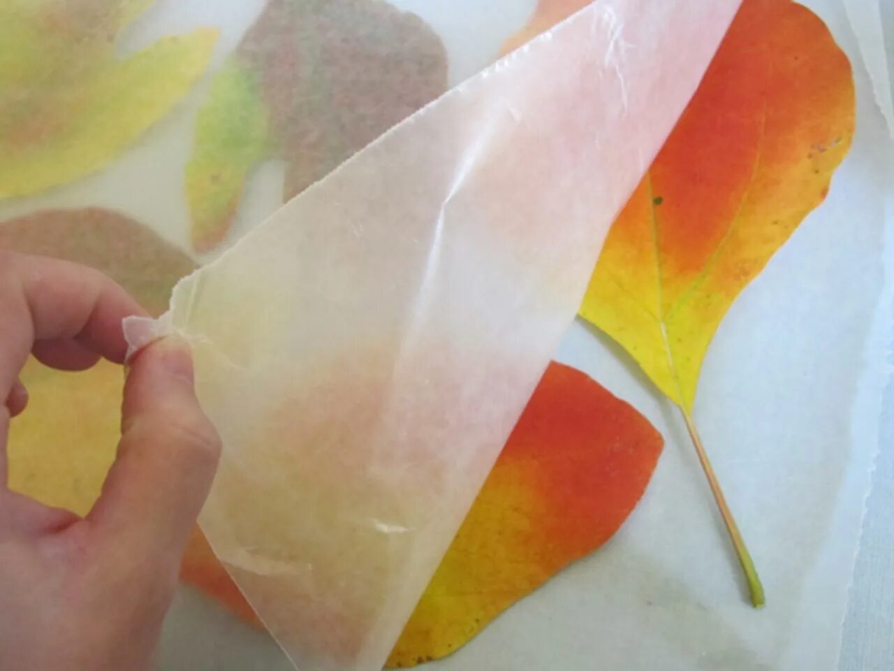 Wax paper