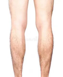 Legs and back