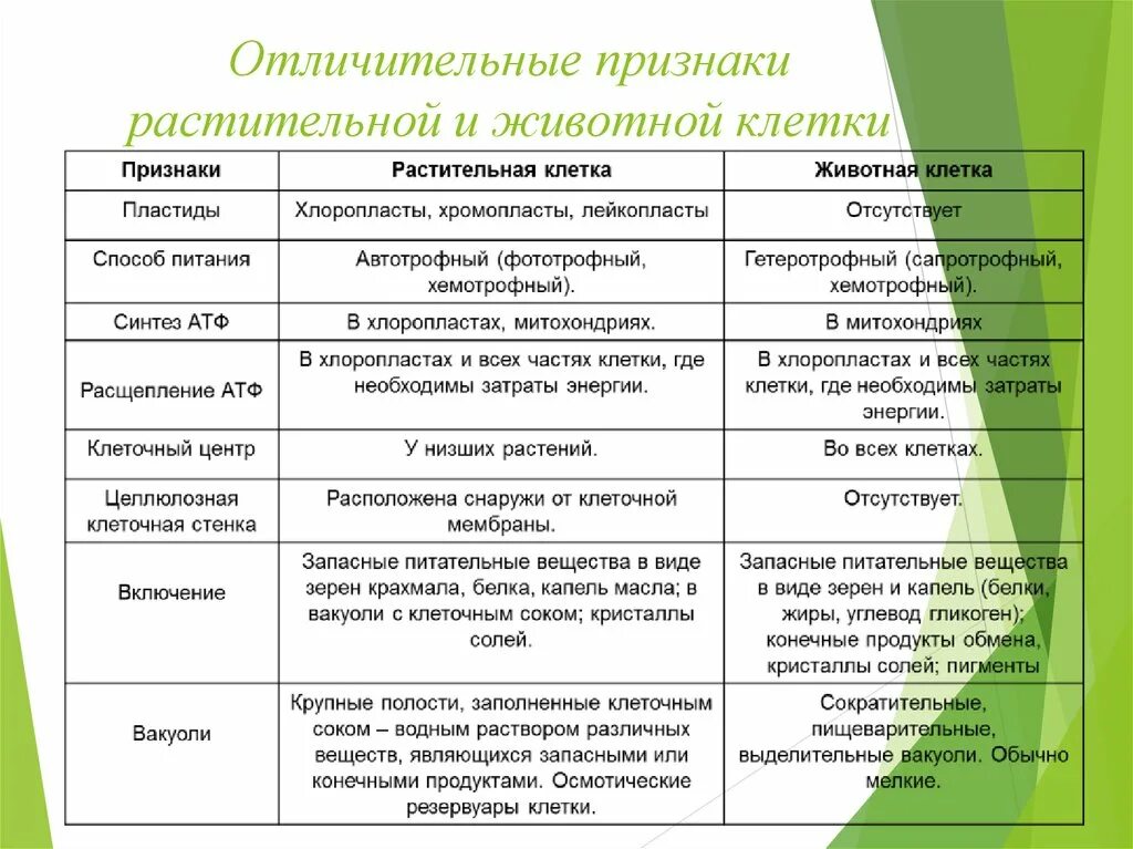 Биологические признаки клеток. Сходства и различия растительной и животной клетки таблица 5 класс. Отличительные признаки растительной клетки от животной клетки. Различия животной и растительной клетки таблица 6 класс. Растительная клетка животная клетка отличие сходство таблица.