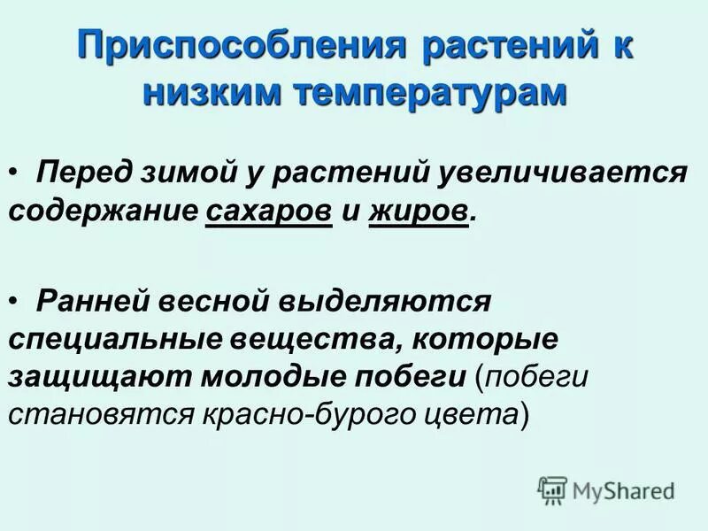 Приспособленность растительных сообществ. Приспособления растений к высоким температурам. Приспособление растений к низким температурам. Приспособление растений к пониженной температуре. Приспособление растений зимой.