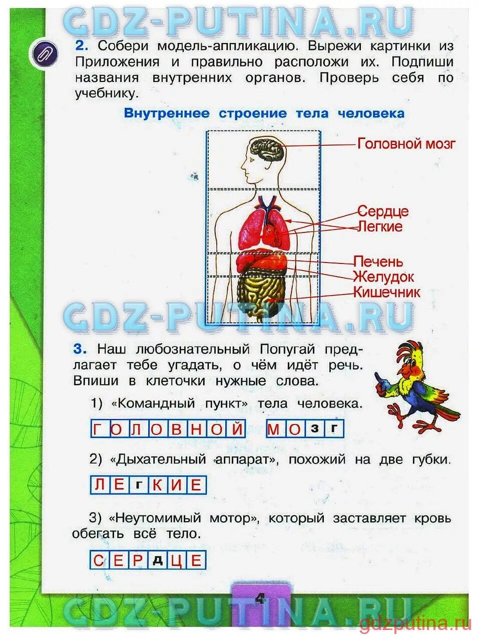 Окружающий мир 2 класс плешаков стр 35. Строение тела человека 2 класс окружающий мир рабочая тетрадь. здоровье и безопасность окружающий мир 2 класс рабочая тетрадь. строение человека 2 класс окружающий мир рабочая тетрадь ответы.