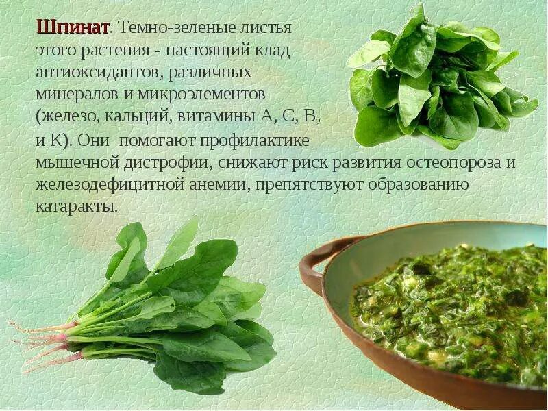 Сколько можно есть салата. Чем полезен шпинат. Полезные травы для салатов шпината. Полезная зелень для салатов. Чем полезен шпинат для организма.