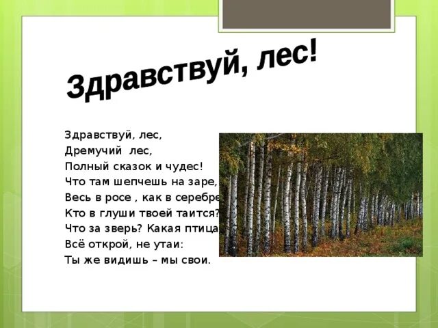 Лесная глушь как пишется. Здравствуй лес дремучий лес полный сказок и чудес. Здравствуй лес дремучий лес полный сказок и чудес стих. Здравствуй лес. Глушь родного леса.