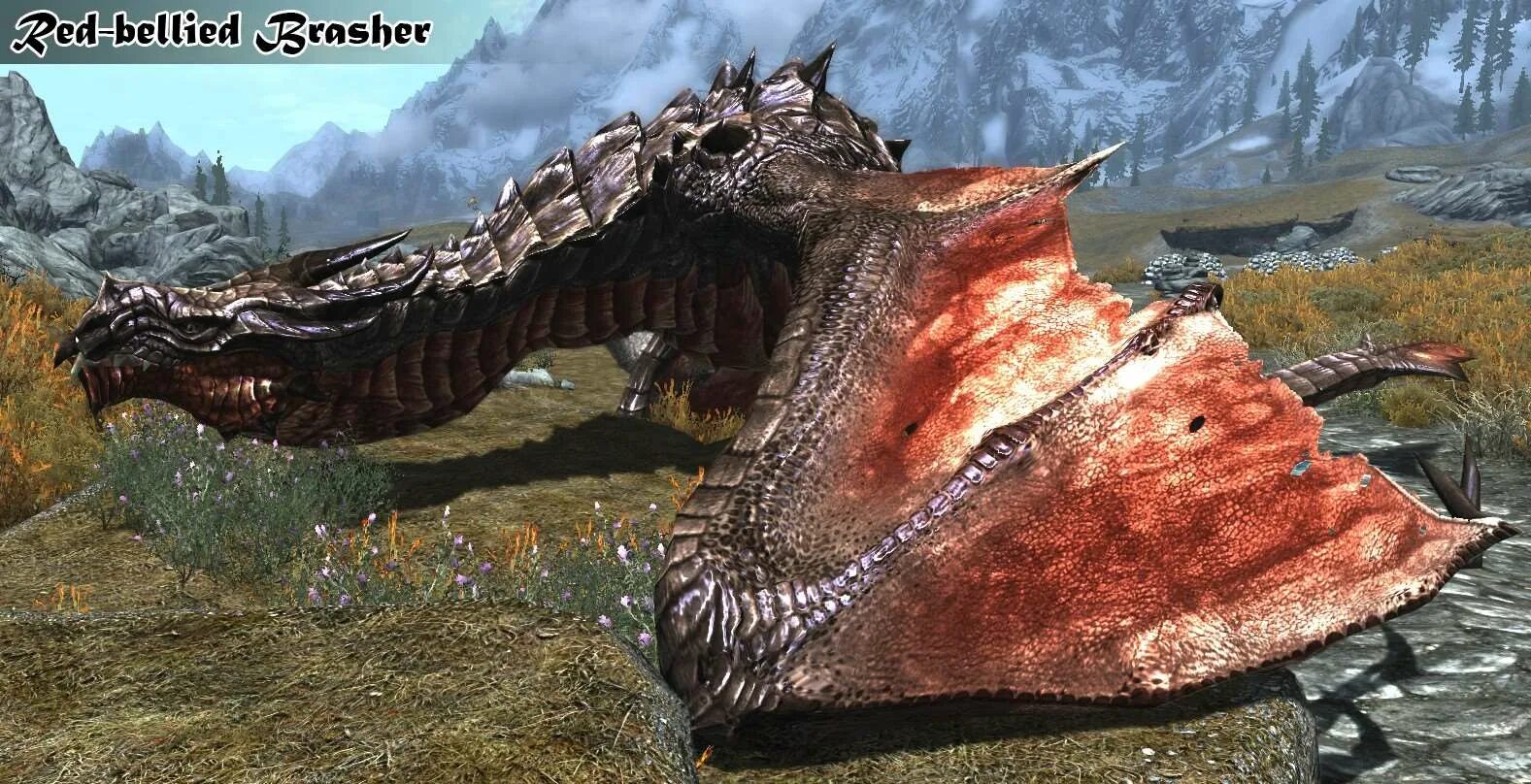 Skyrim мод new. Скайрим реплейсер драконов. skyrim драконы мод. скайрим убийство дракона. драконы тоджо skyrim мод.