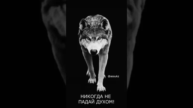 Никогда не унывающий человек 6 букв. Никогда не падай духом. Не падать духом никогда. Никогда не падайте духом. Духом не упасть.