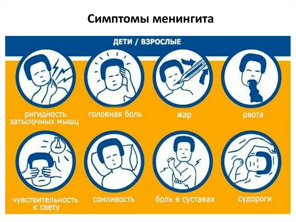 Минингитовая симптомы у взрослых. Менингит симптомы у взрослых.