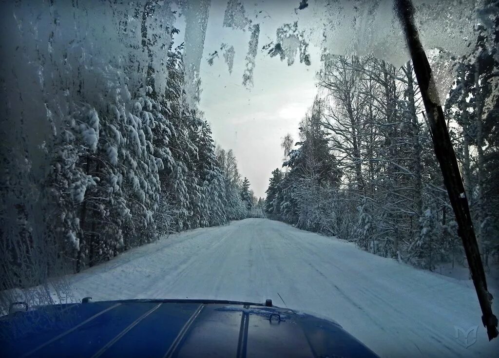 Заснеженная дорога. Дорога зимой. Машина на зимней дороге. Лес из машины зимой.